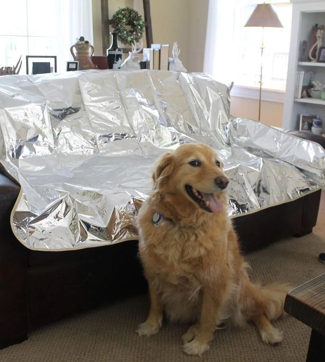 Pet Repellent Mat - Non Electric Cat & Dog Deterrent Mat - Keeps The Pet Paws Off The Furniture!