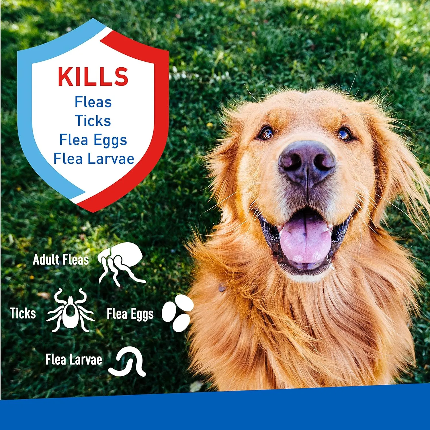 Plus Flea & Tick Spray with Precor for Dogs and Cats; Kills Fleas, Flea Eggs, Flea Larvae, Ticks, and Repels Mosquitoes for Up to 2 Weeks; Controls Flea Reinfestation for Up to 2 Months; 8 oz