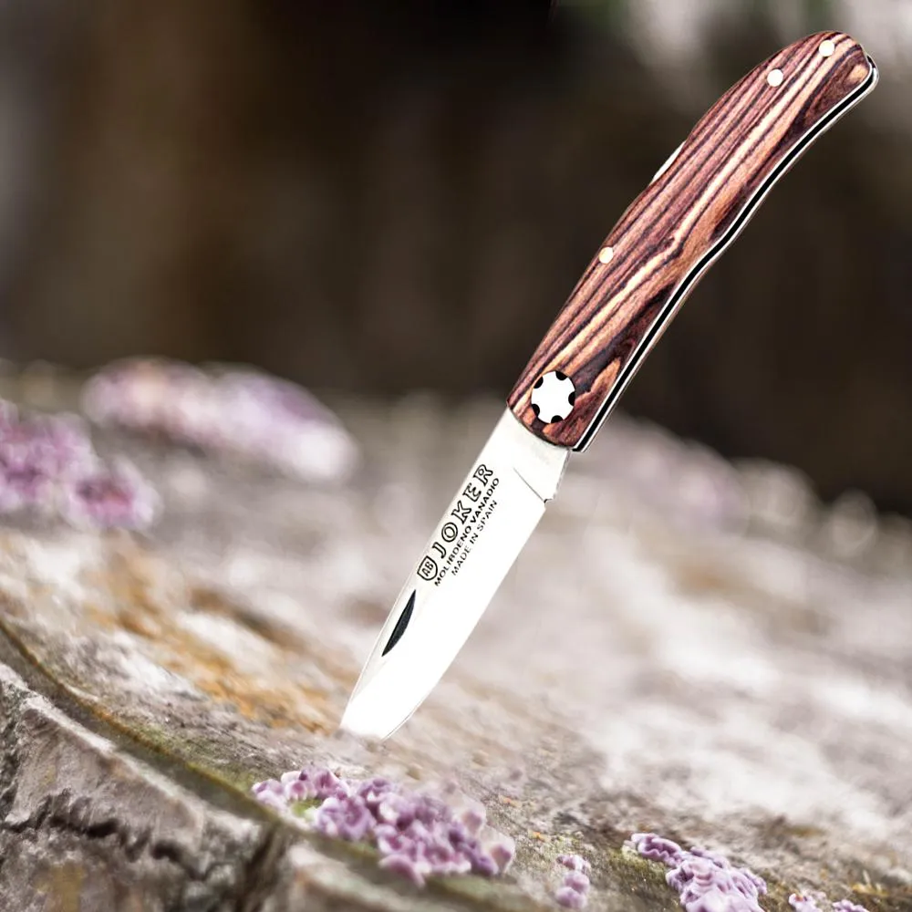 Pocket 2-1/2" Folding Knife with Lock Mechanism - Rosewood Handle