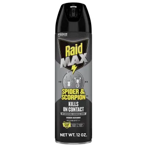 Raid Spider and Scorpion Killer, Kills spiders, scorpions, roaches, ants, Waterbugs, earwigs, 12 Oz
