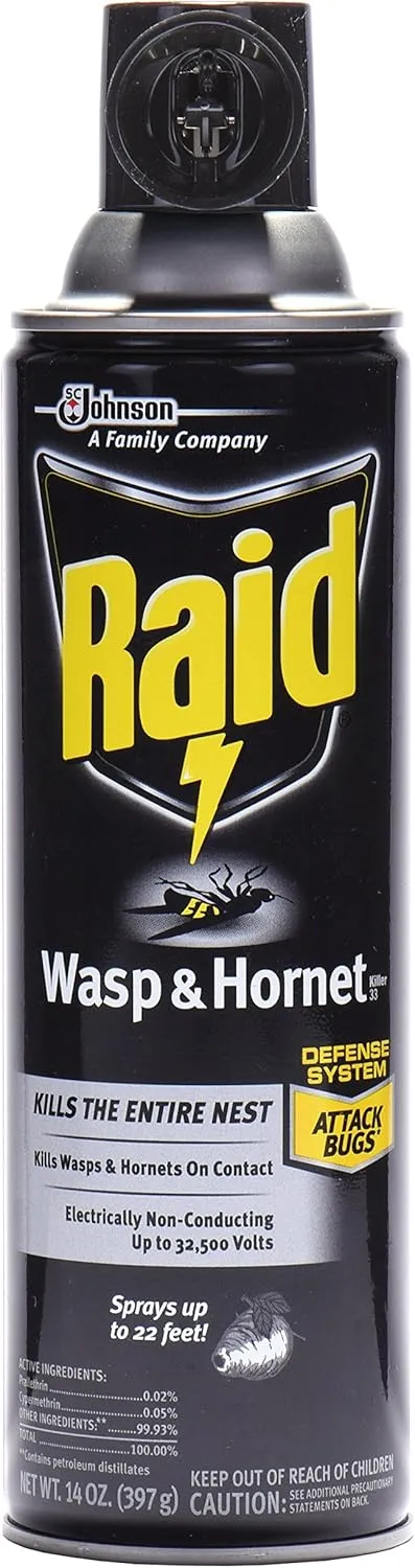 Raid Wasp & Hornet Killer Spray, 14 OZ (Pack of 3)