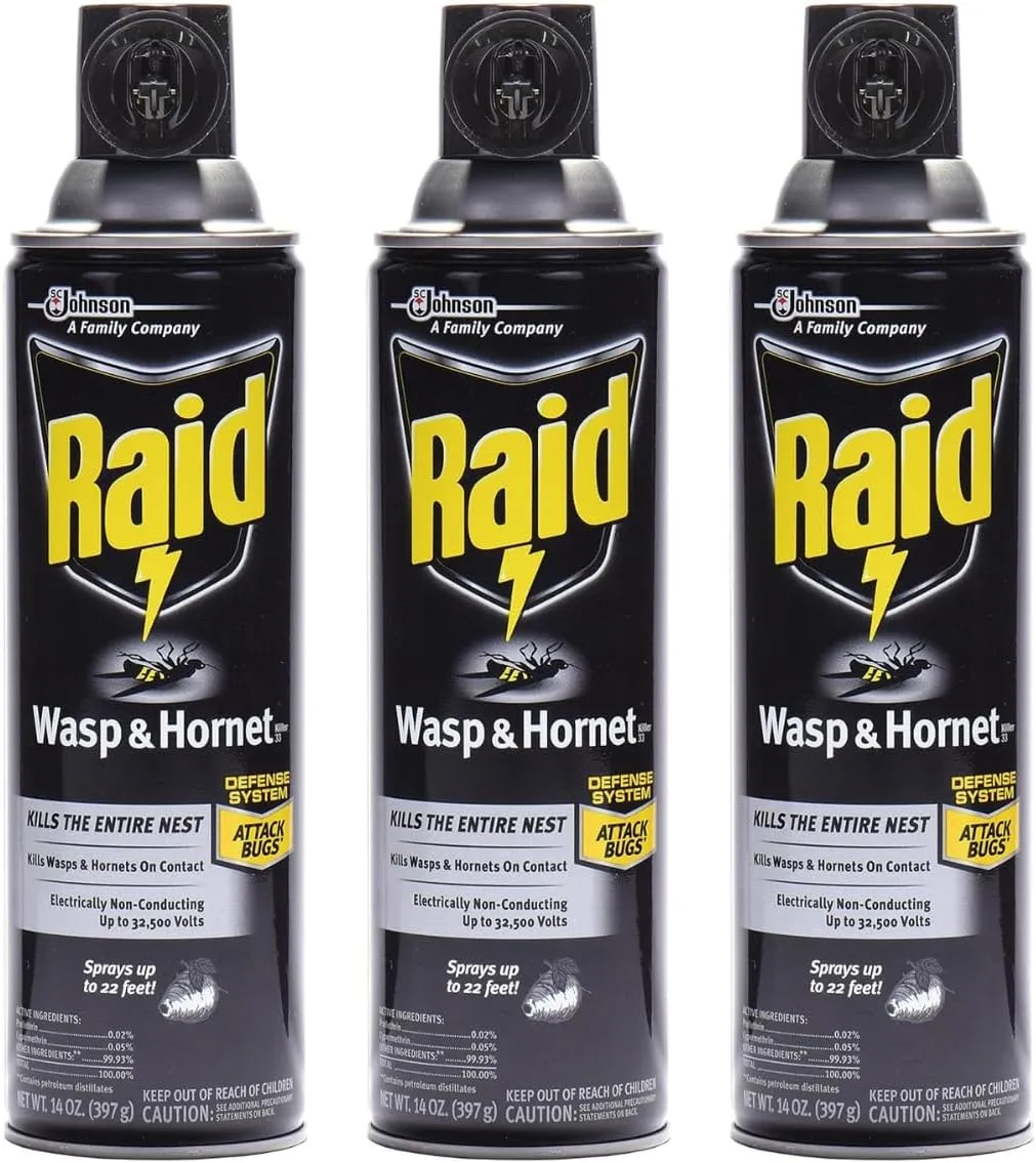 Raid Wasp & Hornet Killer Spray, 14 OZ (Pack of 3)