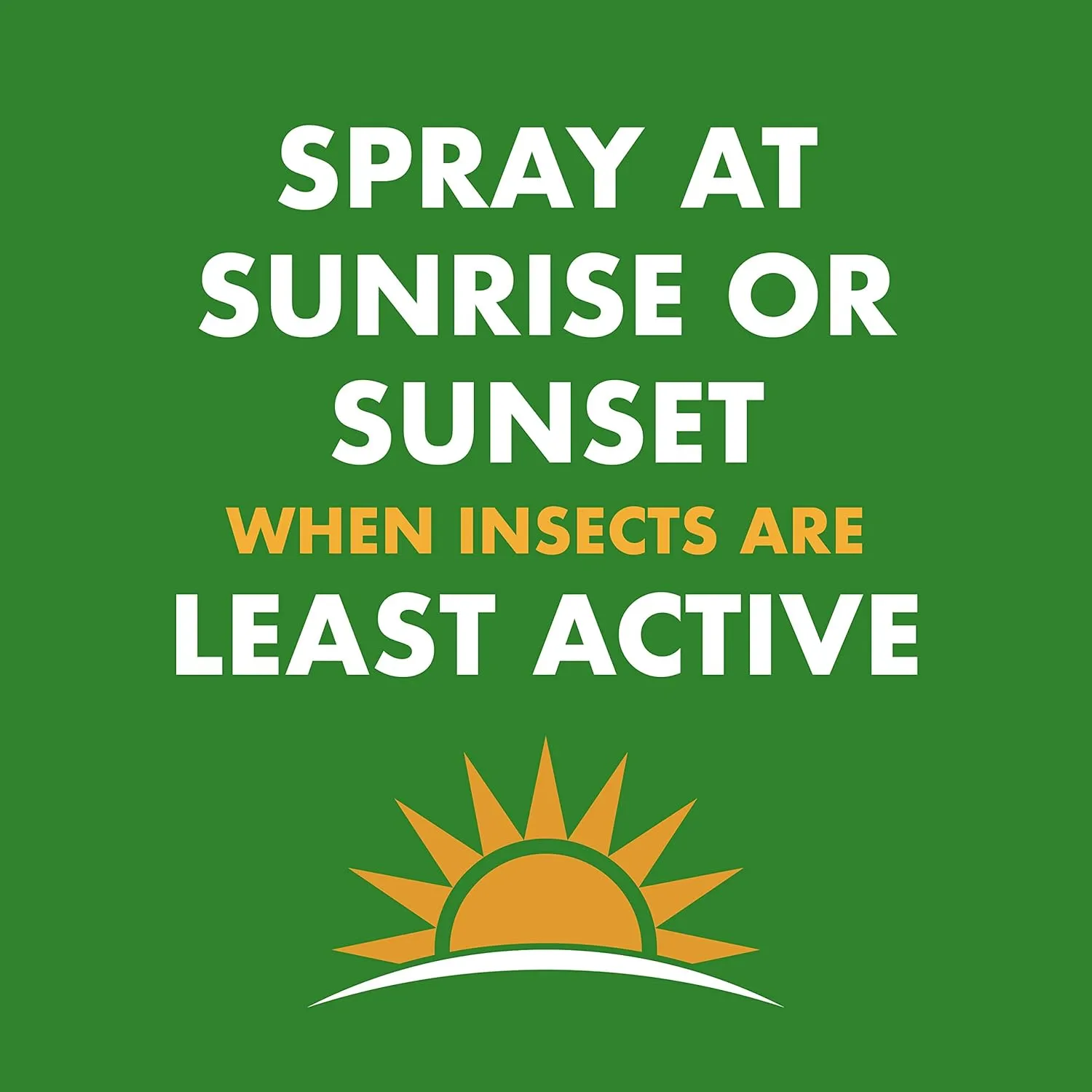 Spectracide Wasp & Hornet 3, 12 Pack, 18.5 Oz Insect Killer