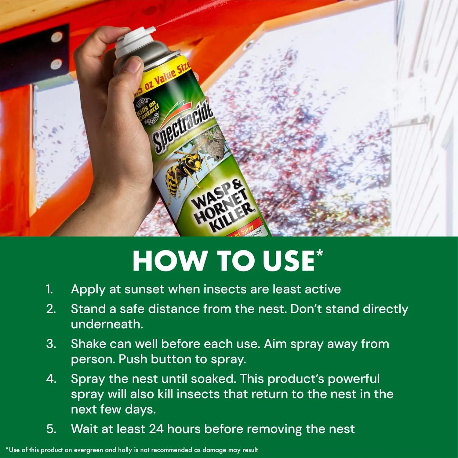 Spectracide Wasp & Hornet 3, 12 Pack, 18.5 Oz Insect Killer