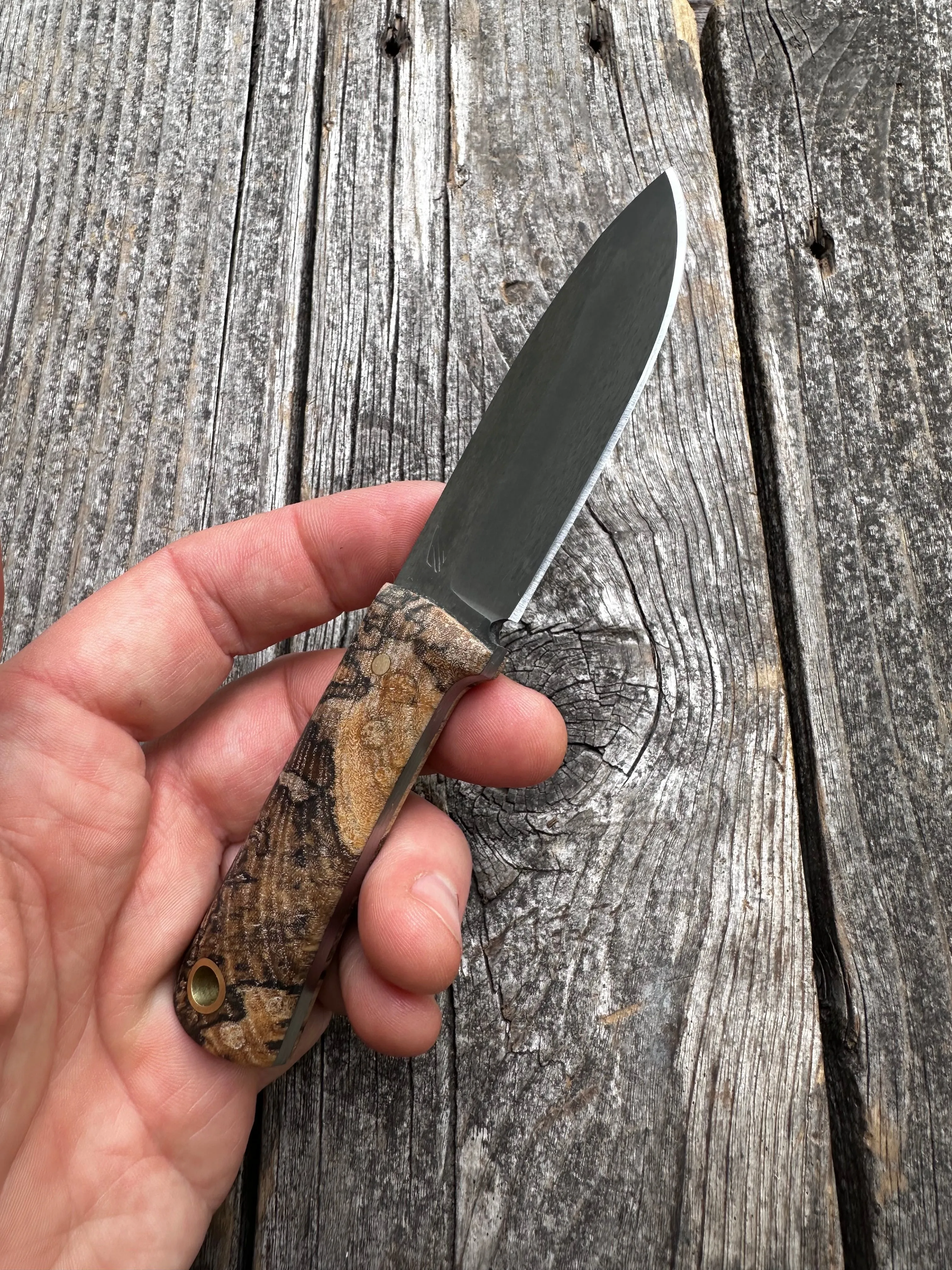 Survival Scout Knife — Spalted Maple & Brass