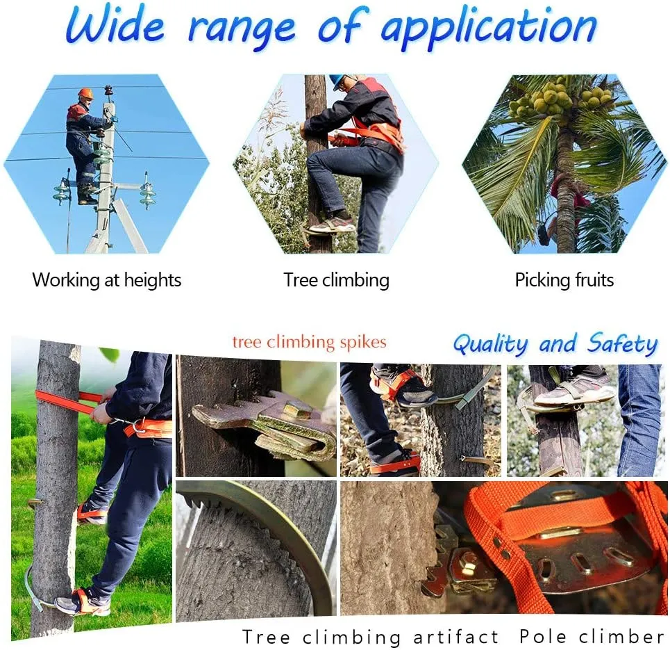 Tree Climbing Gear, Stainless Steel Climbing Tree Spikes with Safe Belt Set, Professional Non-Slip Climbing Trees Tool for Climbing Hunting Observation Picking Fruit,400model