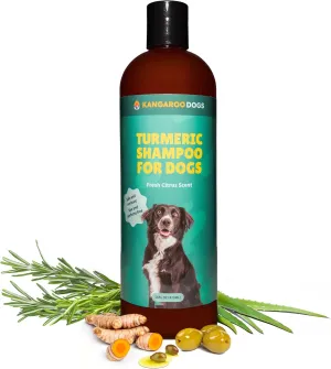 Turmeric Shampoo for Dogs, Helps Sensitive Skin & Allergies, Anti-Itch Shampoo, Dog Skin and Coat Supplement with All Natural Ingredients & Organic Turmeric, Dye & Perfume Free (16 OZ)