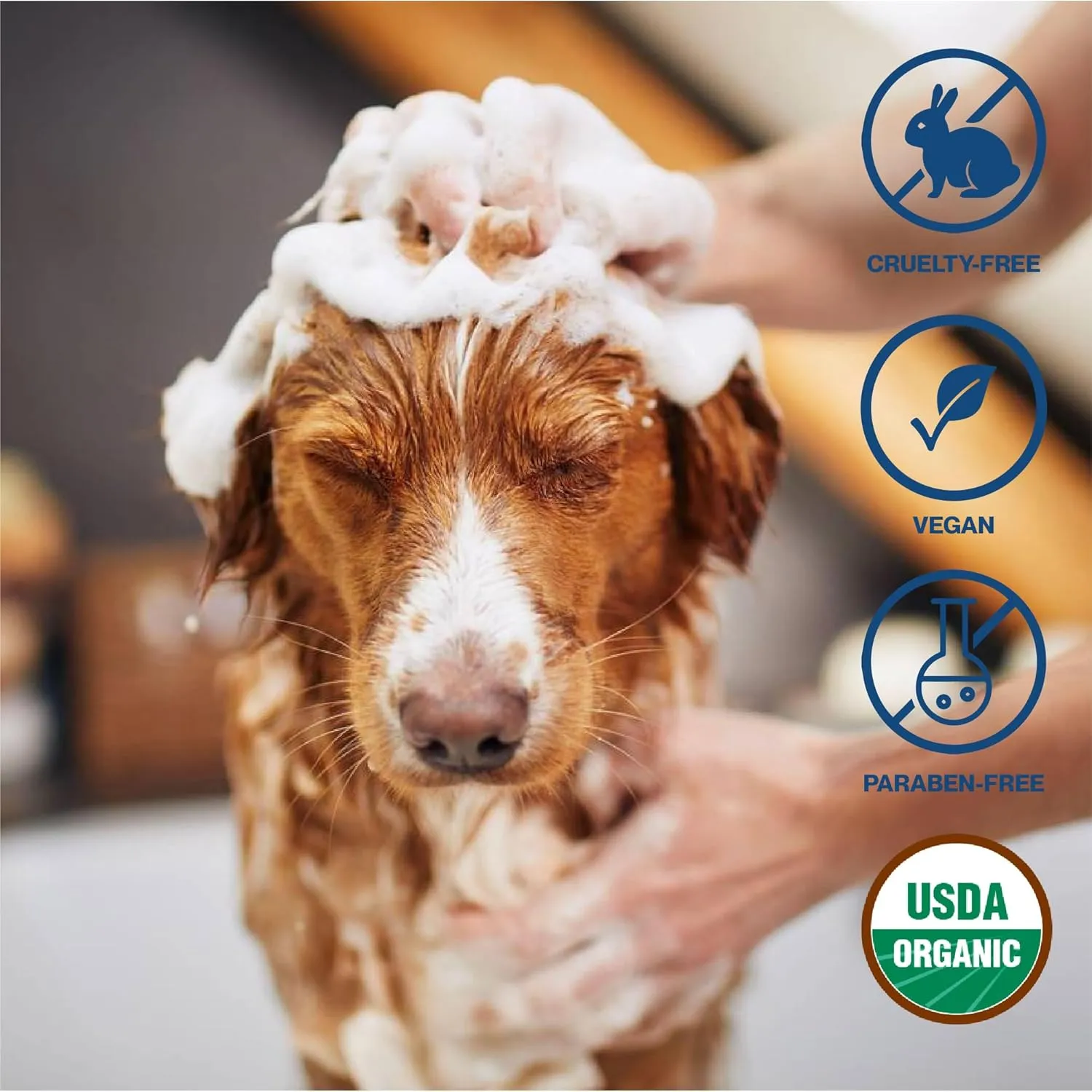 uh*Roh*Muh Organic Castile Liquid Soap - USDA Certified Versatile Soap Base for Soap Making | Gentle Skin Cleanser, Plant-Friendly Insect Spray, Pet Wash-Natural Ingredients(Net Wt:2kg/4.4lb)