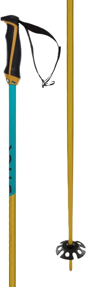 Volkl Phantastick 18mm Poles (141006)